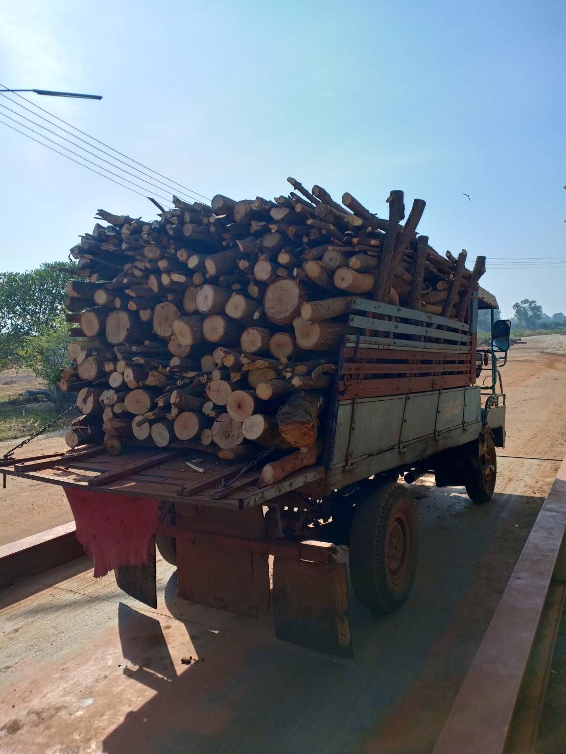 ขายไม้ท่อนให้โคราชไบโอแมสปี62 ไม้ท่อน,โควต้า,รับซื้อ